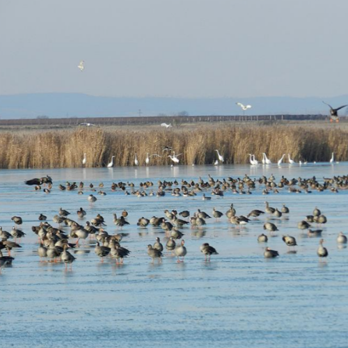BURGENLAND, AUSTRIA
